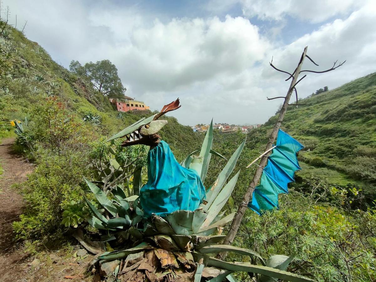 维加-德圣马特奥Camino Art House公寓 外观 照片