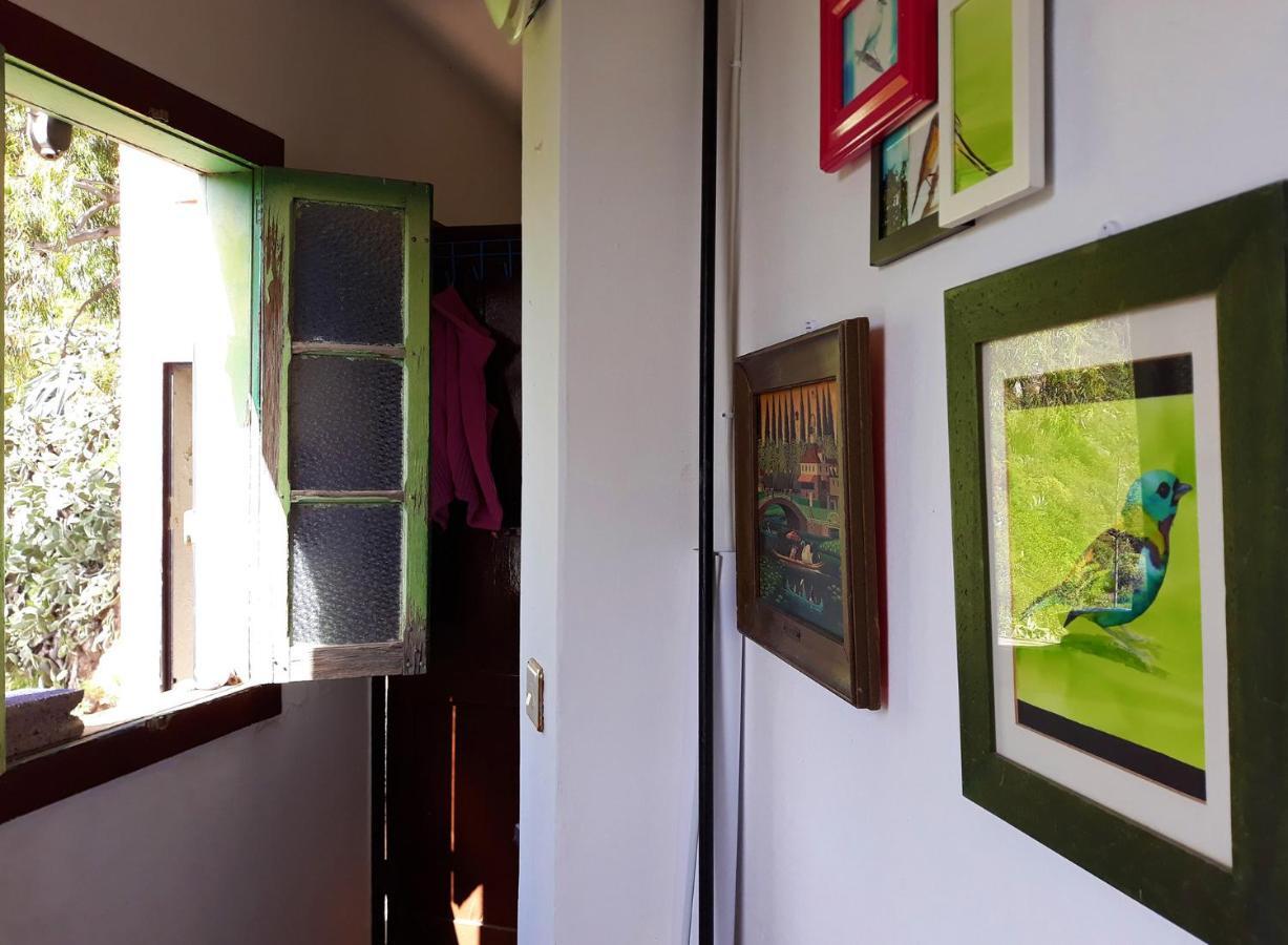 维加-德圣马特奥Camino Art House公寓 外观 照片